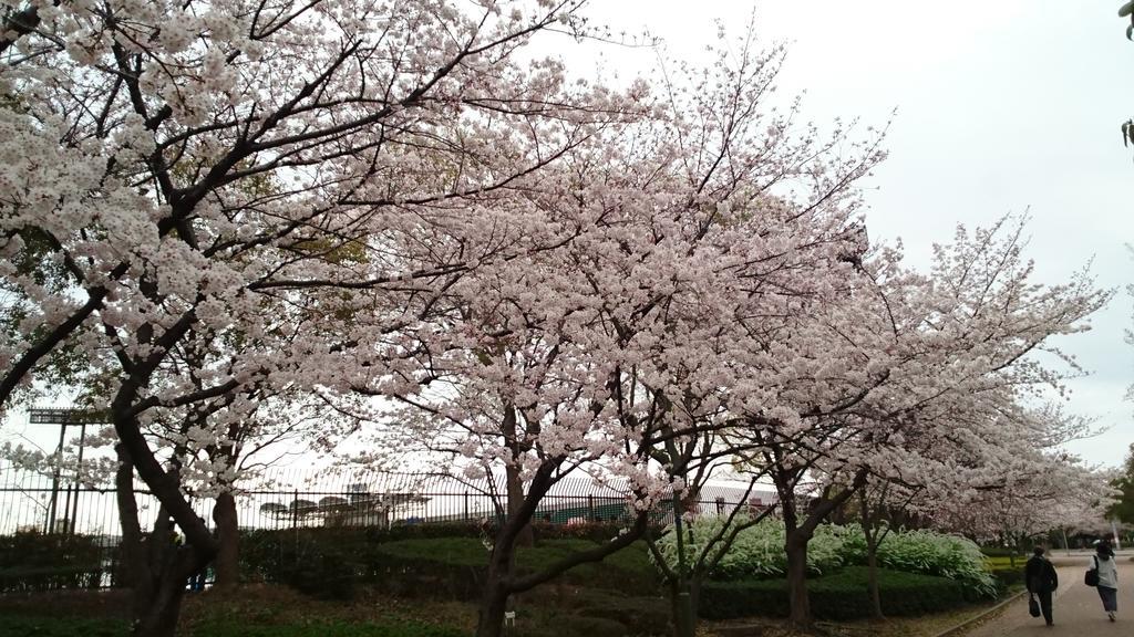 Abiko Guest House Matsubara Екстер'єр фото